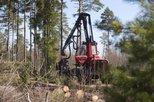 Autocargador en FIinlandia-foto  Vilma Issakainen / Asociación Forestal Finlandesa