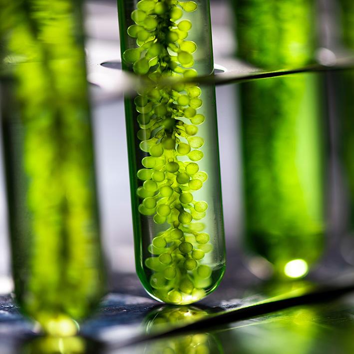 tecnologías aplicadas en laboratorio Inbiotec tecnologías aplicadas en laboratorio Inbiotec