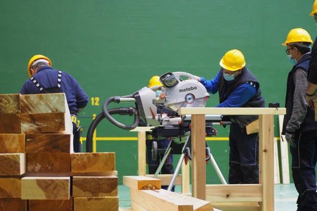 Training_timber Training_timber