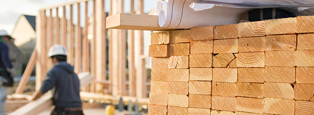 Programa formativo Maderaula para construcción eficiente e industrializada en madera