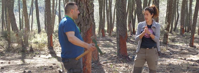 Resinlab premio innovadores