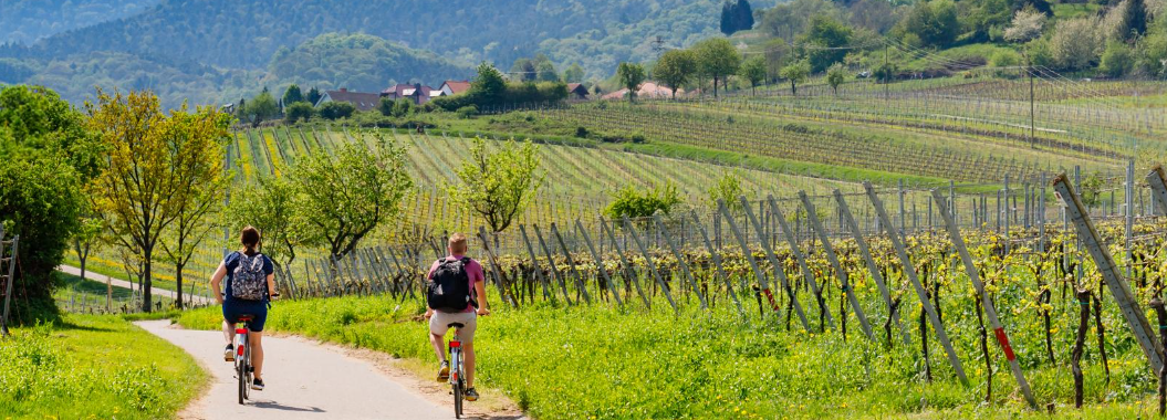 DIGIeconafacugas indforma