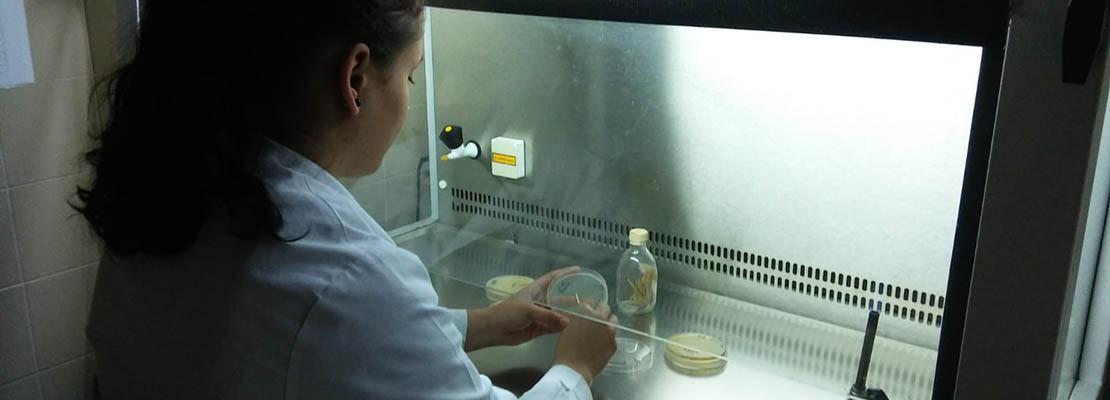 cepario hongos Cesefor INBIOTEC