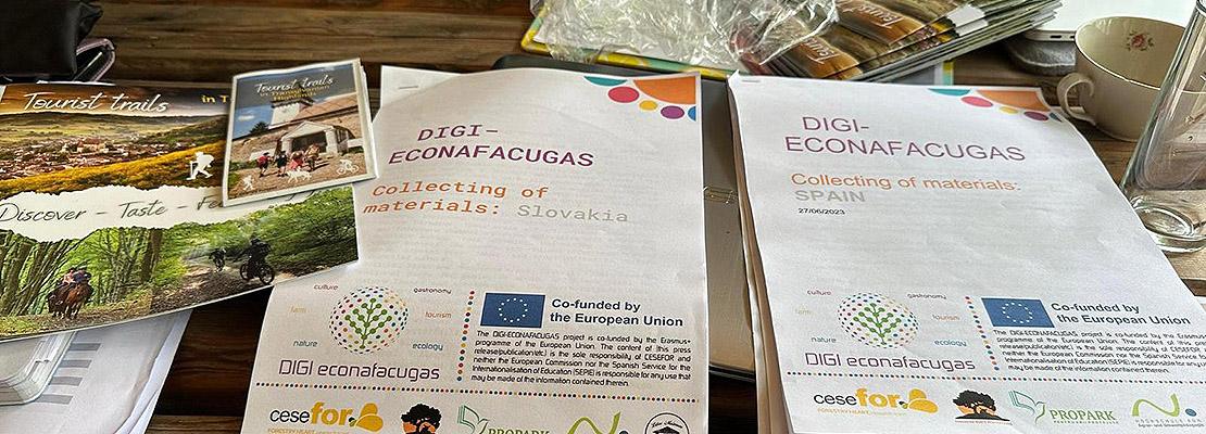 digieconafacugas workshops