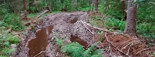 Inteligencia Artificial para operadores forestales