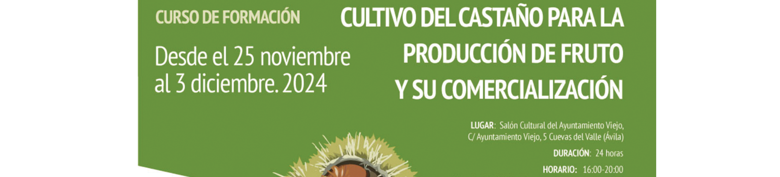 Curso castaña Avila