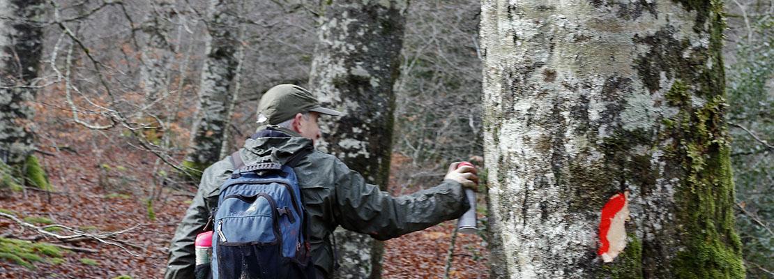 rodales haya selvinet