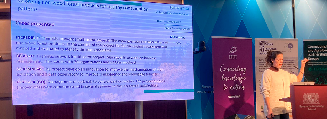 Sesión de FOREST4EU sobre productos forestales no maderables dinamizada por Aida Rodriguez de Cesefor