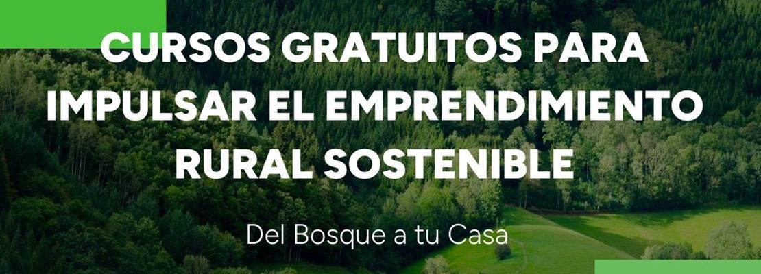 Cursos Del Bosque a tu Casa mayo2025