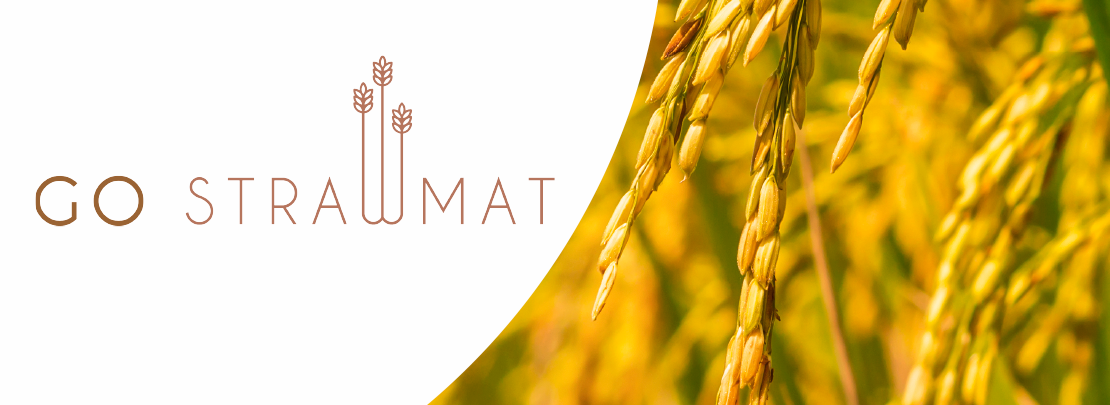 El Grupo Operativo Strawmat investiga el aprovechamiento industrial del residuo de la paja de arroz