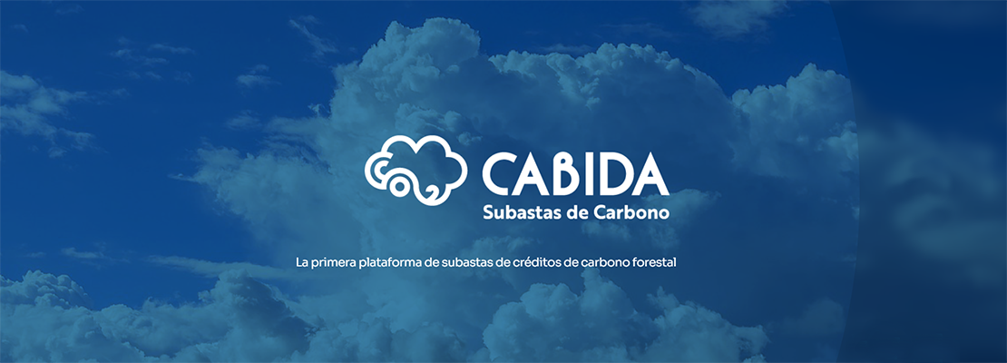 CABIDA