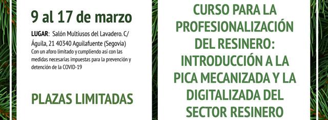 curso_resina_sg.jpg