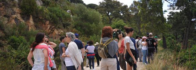 parque_natural_de_los_alcornocales_cadiz.jpg