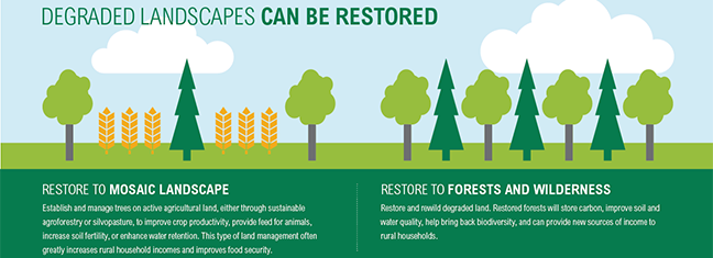 restoration_definitions_0.png