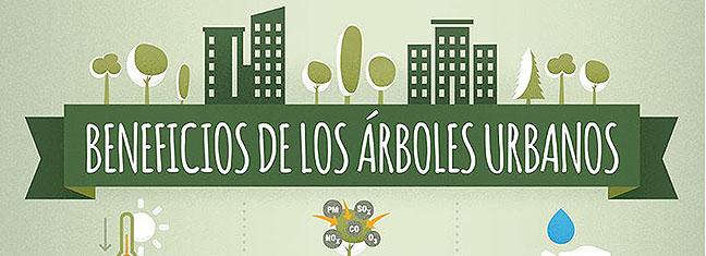 Los beneficios de los árboles urbanos | Cesefor