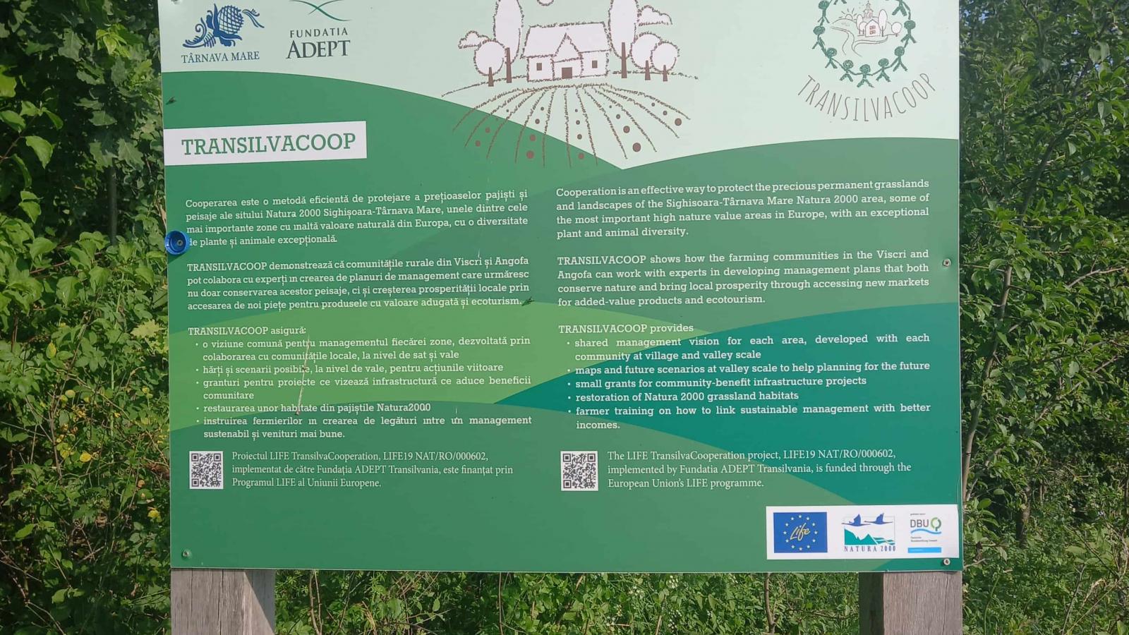 DIGIECONAFACUGAS-1_WORSHOP