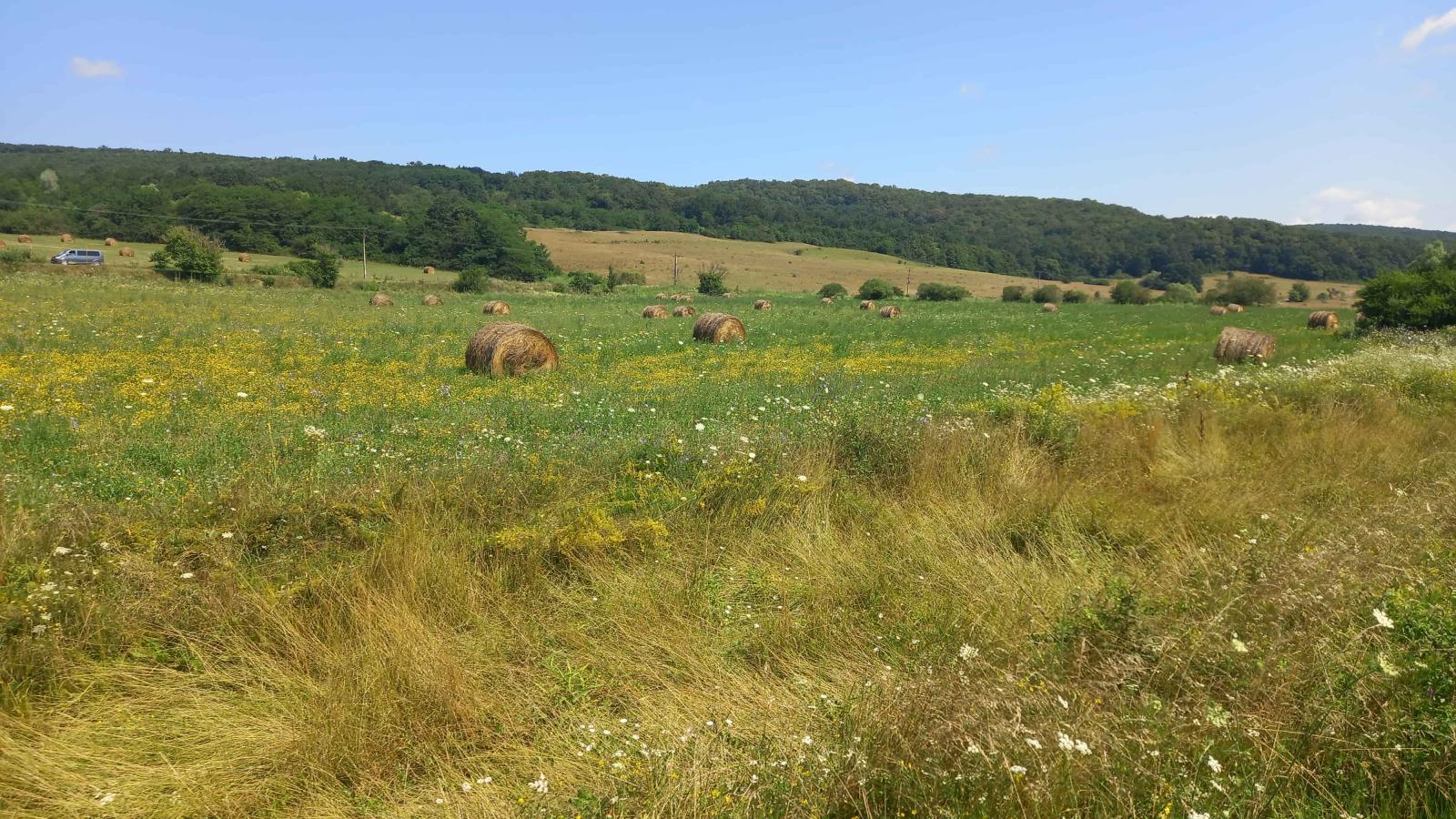 DIGIECONAFACUGAS-1_WORSHOP