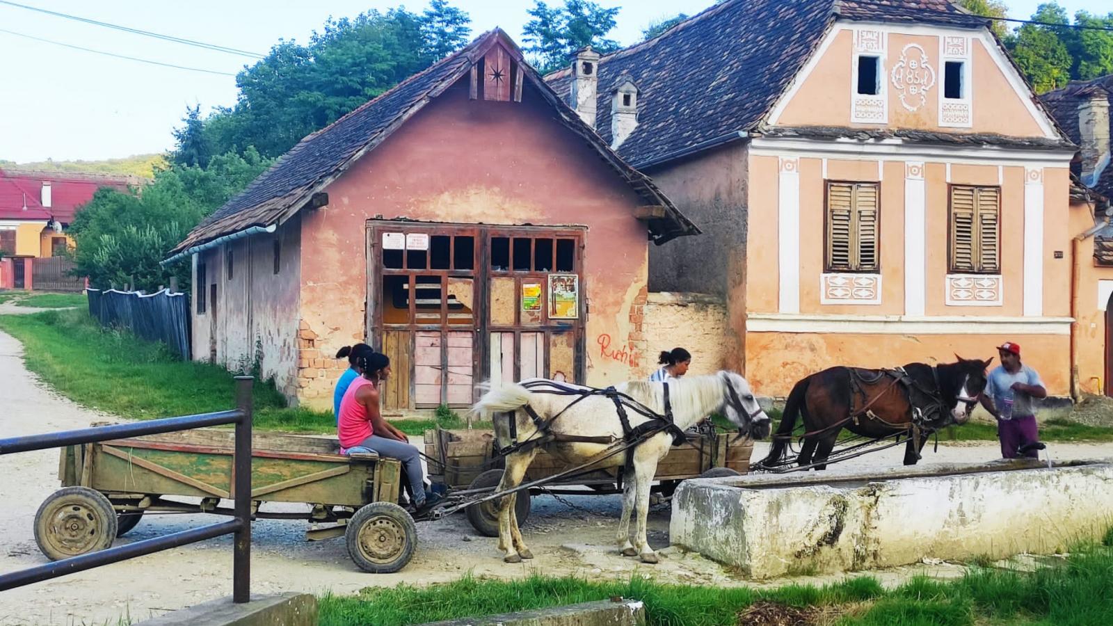 DIGIECONAFACUGAS-1_WORSHOP