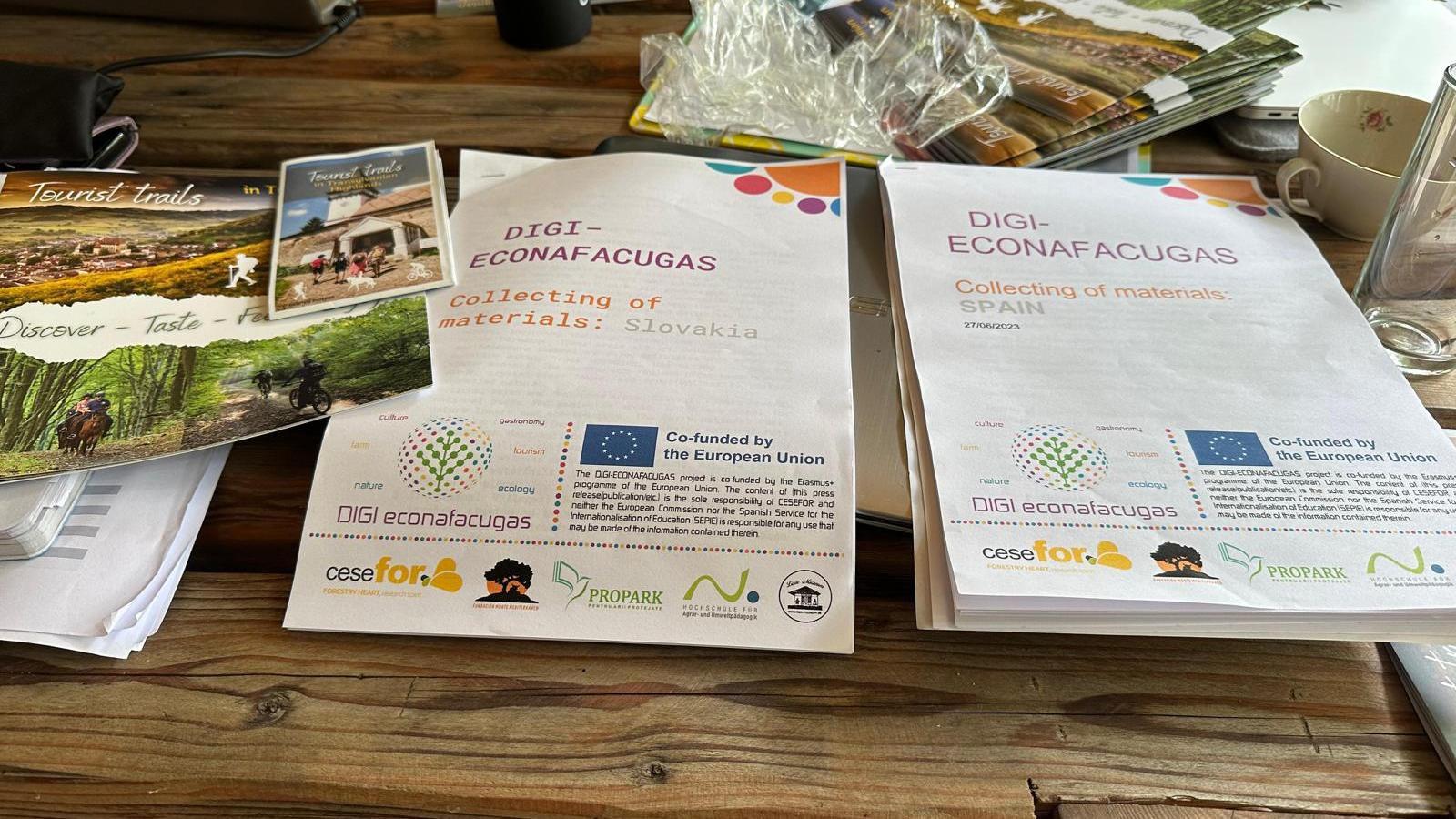 DIGIECONAFACUGAS-1_WORSHOP