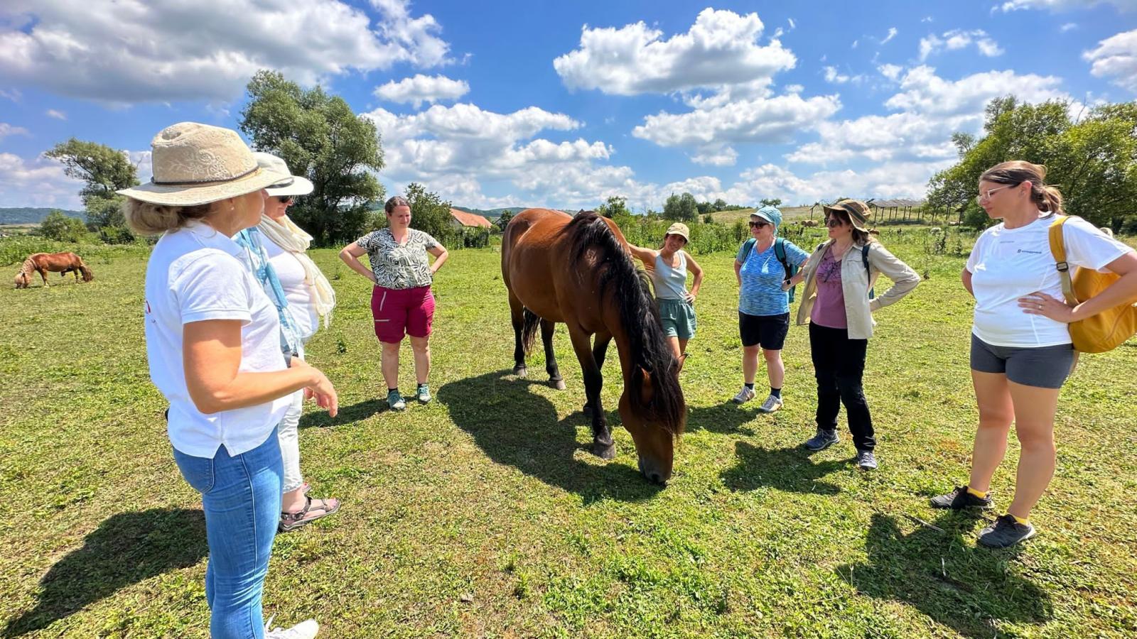 DIGIECONAFACUGAS-1_WORSHOP